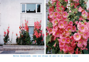 estereotipos del amor