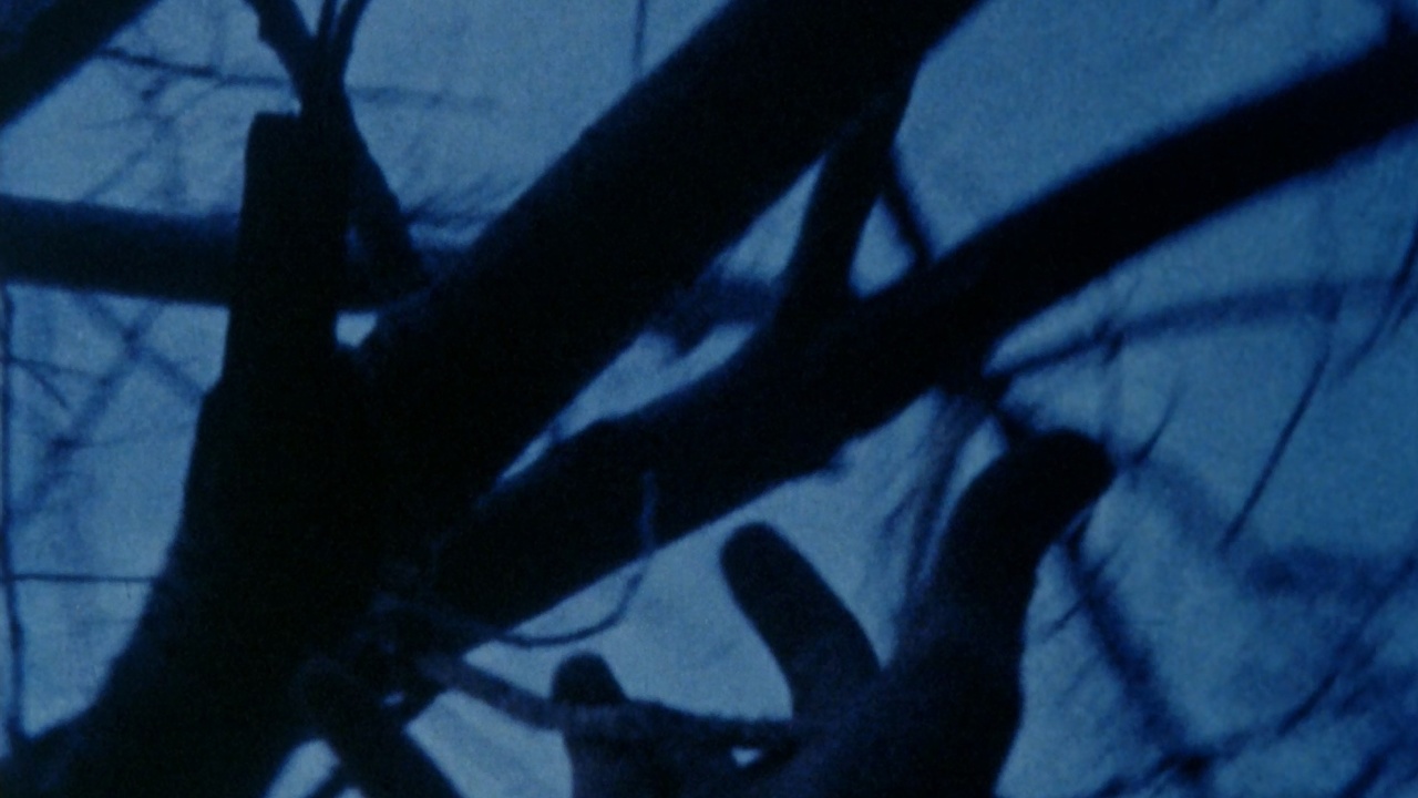 Brakhage